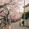 桜をみながら美味しいものを食べるぞ