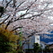 DSC04340 (1)