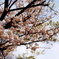 DSC04346 (1)