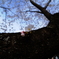 DSC04355 (1)
