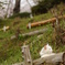 かぜに吹かれて