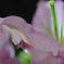 resize0280