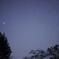 photo_2434270