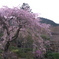 常寂光寺にて