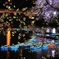 千鳥ヶ淵　夜桜　ボート