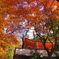 紅葉の紀三井寺