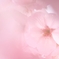 ～夢の途中～