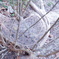 DSC00125