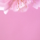 春色lamp（2013version）