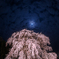月夜の枝垂れ桜