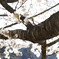 _DSC0188-1