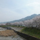 今週末までは