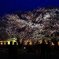 夜桜は美しく