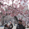 2013-03-24 16-01-24