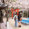 桜の下で