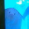 こんぬつわ