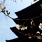 桜と塔