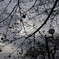 DSC00808