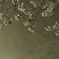 夜桜