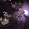 月と桜