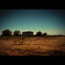 No country