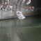 疎水