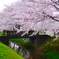 桜inジオラマ