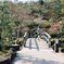 橋の上にて