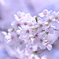 DSC00001