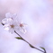 DSC00021