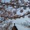 201303 神戸