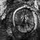 R0013281