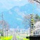 道標