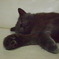 20090824ぐり