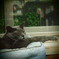 20090824ぐり7