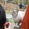 可愛く撮ってよね！