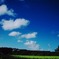 田んぼと青空