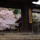 静観寺