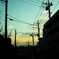 電線より