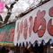 春の風物詩
