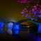 夜の錦帯橋