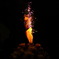 flower fireworks