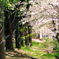 桜終宴