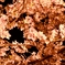 cherry blossoms at night 2
