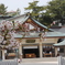 広島護国神社と桜