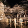 夜桜03