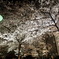 祇園白川