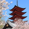 春の五重塔