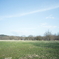 spring field