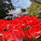 2013.4.3